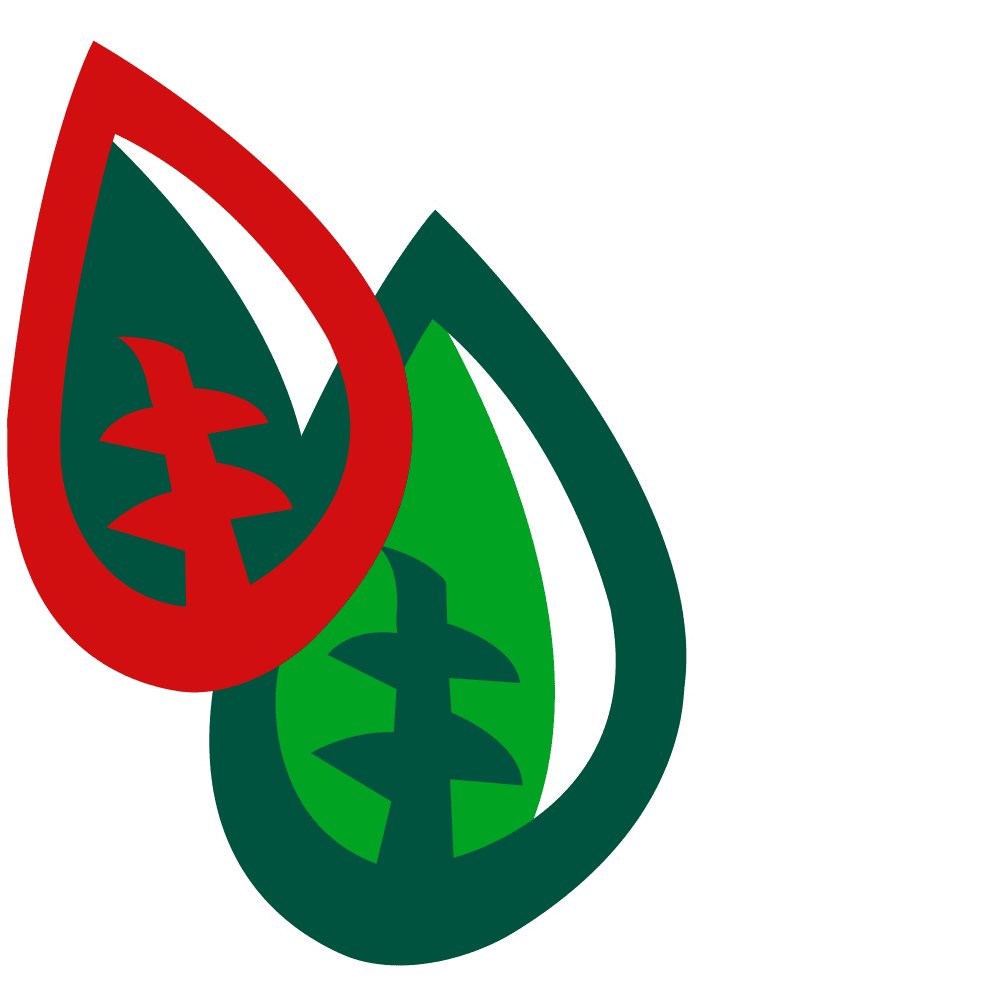 RUCULAFRESH